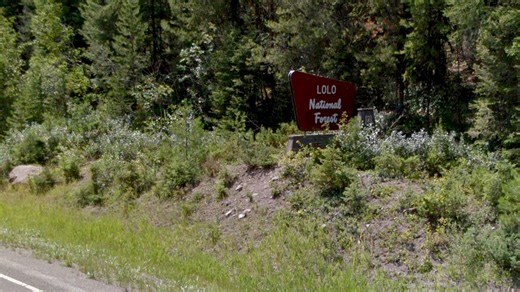 Project in Lolo National Forest faces criticism from conservationists