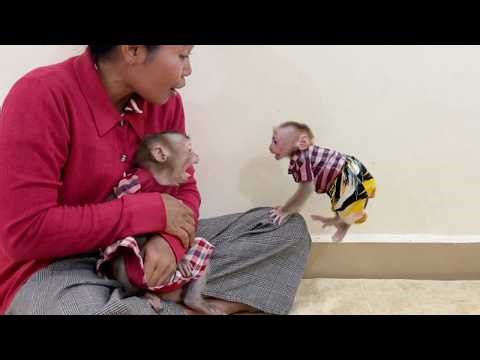 Brave Ronaldo Hilarious Jumping To Playful With Genius Mom Linda