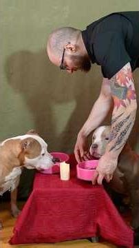 თორი და სიფი დეითზე 🤭🎀