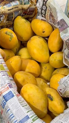 Free Mango 🥭 Shake #shorts #youtubeshorts #mangojuice #foodie