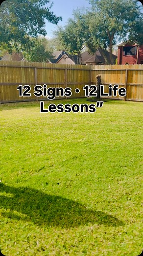 3 comments | One-line life lesson for every zodiac sign. Sometimes the message you need is simple — and today, the universe is giving you exactly that. Which lesson hit you the most?  Comment your zodiac sign and I’ll tell you how this message connects with your current energy. . Zodiac life lessons • Astrology guidance • Zodiac signs meaning • Daily zodiac message • Spiritual guidance • Astrologer USA • Cosmic energy tips | diviinehealing5 | Facebook