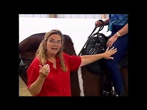 How Saddle Fitting and Bitting Affects How a Gaited Horse Moves