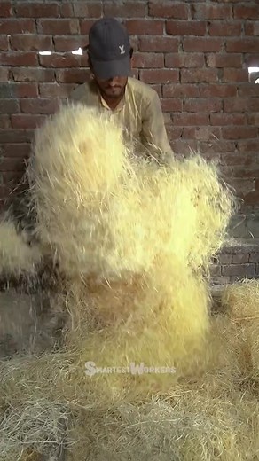 How Wood Wool are Manufactured in Factory #WoodWool #ManufacturingProcess #EcoFriendlyProducts #FactoryProduction #SustainableMaterials #WoodWoolIndustry #TrendingNow #SustainableManufacturing | smartestworkers 1