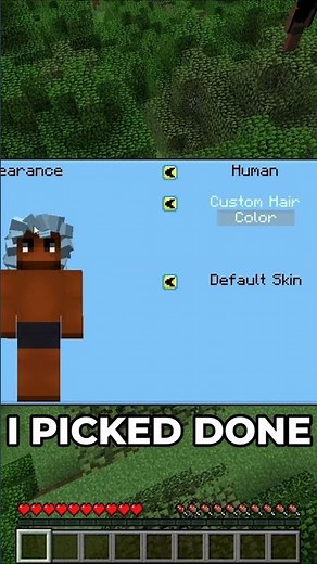 Character creation in Minecraft!