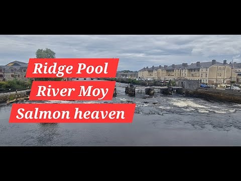 River Moy Ballina Ridge pool salmon and a visit to Ballina Angling Centre Co.Mayo 🇮🇪