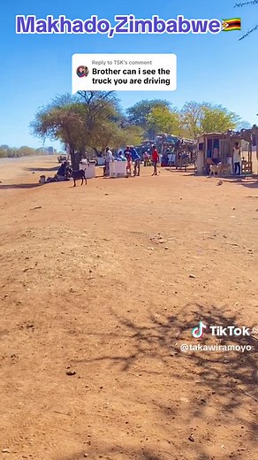 Makhado, Zimbabwe: Captivating Farm Animal Footage