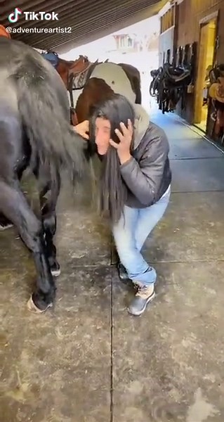 When the 🐎 wig 🐎 farts in your face 😂 🤣 #horse #horses #horsesoftiktok #fyp #funny #horsefart #hilarious