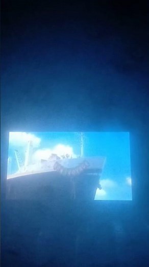Timon and Pumbaa Rewind Madagascar