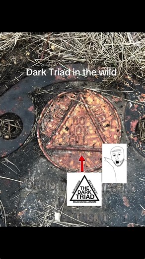 holy dark triad #fyp #israel #viral #darktriad #evil