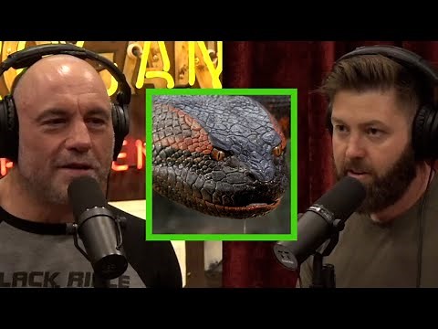 Forrest Galante on the Myth of Giant Anaconda's in the Amazon