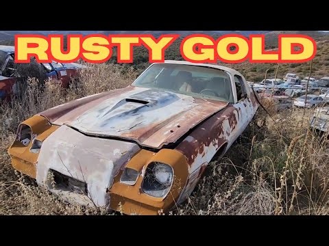 The Hidden Treasures of A Junk Yard Old Cars & Trucks Revealed