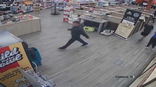 Man caught on camera stealing Frenchie puppy from Petland arrested in Miami: police