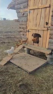 Working Already! #WhittAcres #homesteadinglife #enjoynaturetoday