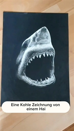 Ich zeige dir meine damals erste Kohlezeichnung von einem Hai! #Zeichnen #kunst