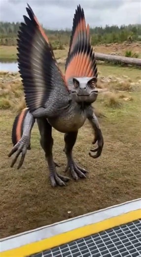 Evolution Redesigned These Feathers to Save Energy #experiements #animals #nature