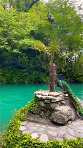 #абхазия #отдых #экскурсии #туризм #лето2021