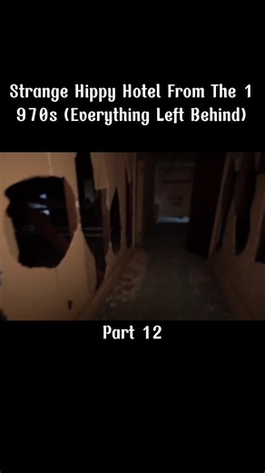 Exploring the Strange Hippy Lifestyle