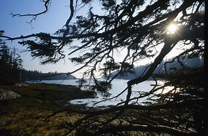 Acadia National Park Travel Guide - Expert Picks for your Vacation