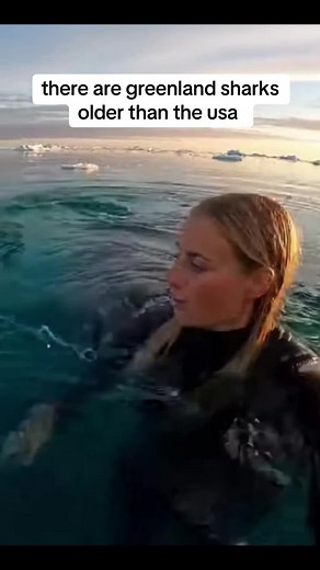 Exploring the Remarkable Greenland Shark