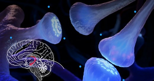 How and why your memories shift over time, explained by neuroscience