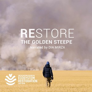 89 reactions · 18 shares | In 2006, only 50,000 animals of the unique saiga antelope were left in Kazakhstan’s golden steppe. Thanks to the #GenerationRestoration efforts of the Altyn Dala Initiative, there are more than 1 million saigas. Find out more about this incredible rewilding success. https://bit.ly/3MBQv91 | UN Environment Programme | Facebook
