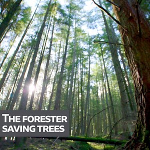 Archie has been a forester for 40 years and wants to save some trees from the chop. 🌲🌲🌲 | BBC Scotland