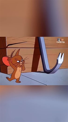 ‏#fyp #movie #viralvideo #cat #shorts