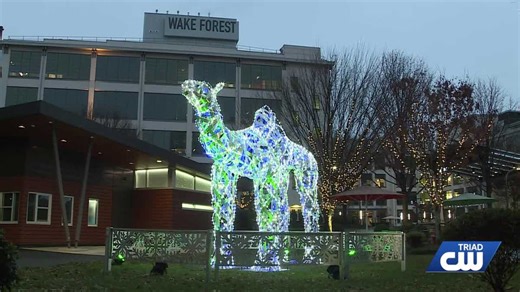 Giant camel brings holiday cheer to Winston-Salem's Innovation Quarter