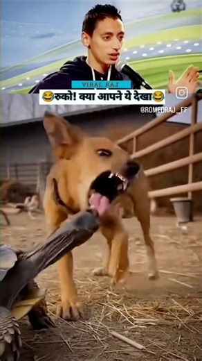 "Top 10 Hilarious Jokes That Will Leave You in Stitches! 😂💥" #funnyideas #funnypost