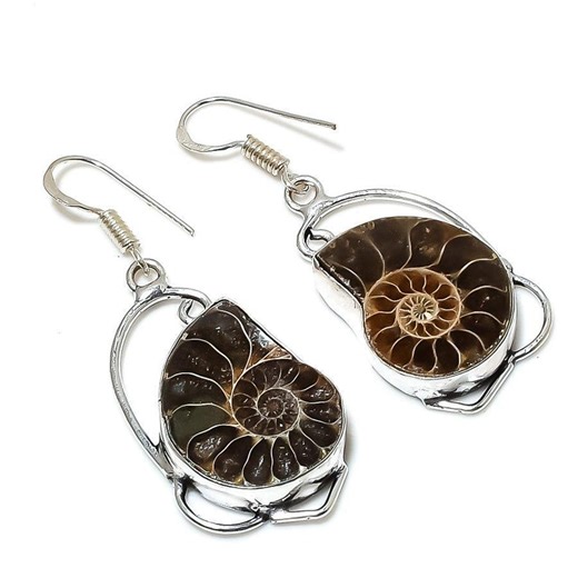 Ammonite Anniversary Earrings, Earrings Jewelry, Dangle Drop Earrings, 925 Sterling Silver Engagement Earrings, Earrings, Hook Earrings - Etsy