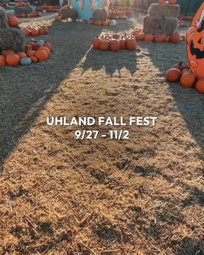 AUSTINITES101 on Instagram: "14 FALL FESTIVALS AND EVENTS AROUND AUSTIN TO ATTEND While Texas temps are still running high, fall officially kicks off September 22nd, and Austin’s seasonal lineup is ready to roll, so we’ve got some upcoming festivals in and around Austin to add to your calendars so you can attend this year! Explore 5 options below that we are super excited about and comment MORE for the full list sent to your DMs! GEORGETOWN FALL FESTIVAL 30 farm-themed activities like wagon ride