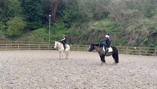•lemieux toy ponies• (@lemieux.toy.ponie7)’s videos with original sound - •lemieux toy ponies•