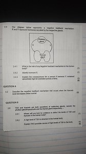2.4 The diagram below represents a negative feedback mechanism.... | Filo