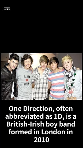 One Direction: A Brief Overview of Their Journey