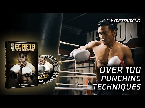 SECRETS to Punching Power (OVER 100 Punching Techniques!)