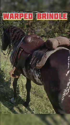 RDR2 Arabian Warped Brindle Horse