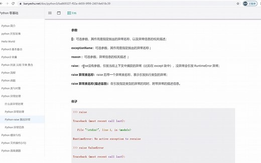 python raise 抛出异常