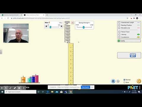Phet: Masses and Springs Basics Lab Introduction