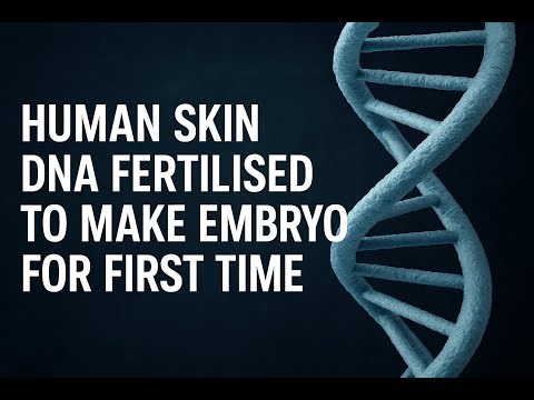 DNA from Skin Creates Embryo | Historic Fertility Breakthrough