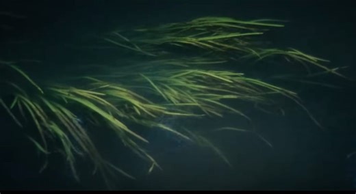 On Why Tarkovsky's Boring Films Are Not Boring