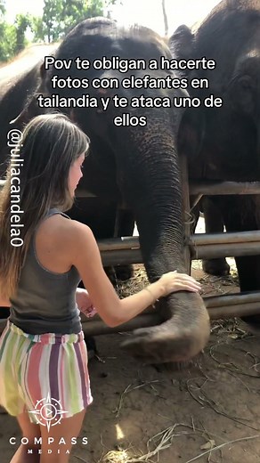 Grumpy Elephant Knocks Tourist Over Using Trunk