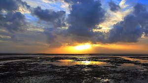 National Geographic is expanding its commitment to explore and protect the planet. Learn about some of the wildlife we’re protecting and projects we’re funding: http://natgeo.org/together | National Geographic