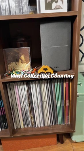 Vinyl Collector's Storage Woes