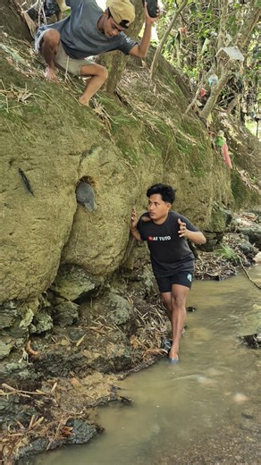 It turns out to be nested in a hole. #nature #trendingshortvideo #animal #viral