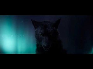 Running With the Wolves MV