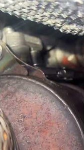 2015 BMW 528i How to remove downstream Oxygen Sensor