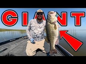 Flipping, Swim Jig And Frog! This NEW Lake Is Full Of GIANT Bass!