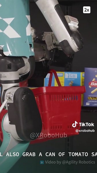 Humanoid Robot's Autonomous Shopping Experience