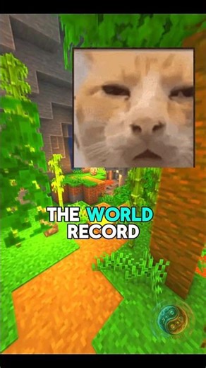 Which challenge would you take? | complete the challenge to win million