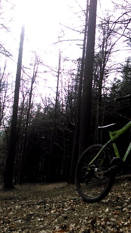 Biker Runs Into Tree